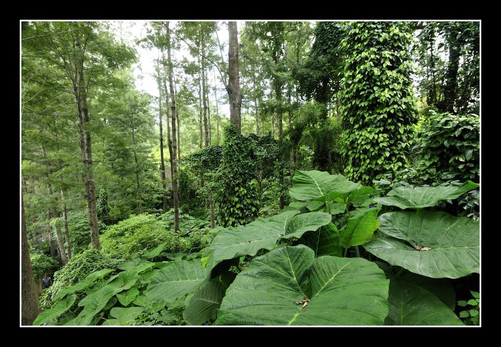 Hotel Shevaroys Yercaud Exterior foto