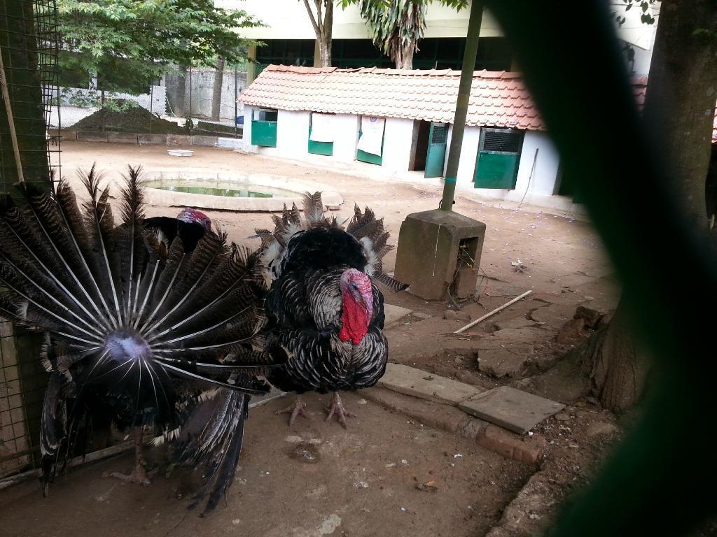 Hotel Shevaroys Yercaud Exterior foto